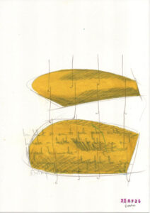 coloured pencil on paper