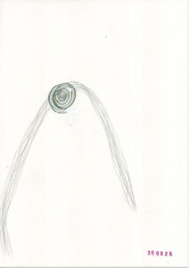 a drawing from the daily drawing series