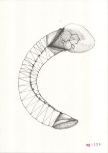 a drawing by Bart Geerts