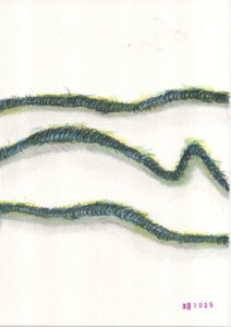 a drawing by Bart Geerts, contemporary artist from Belgium