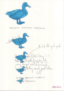 replication blue duck "Beauty brings copies of itself into being" for Elaine Scarry