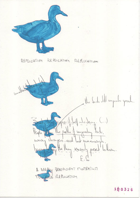 replication blue duck "Beauty brings copies of itself into being" for Elaine Scarry