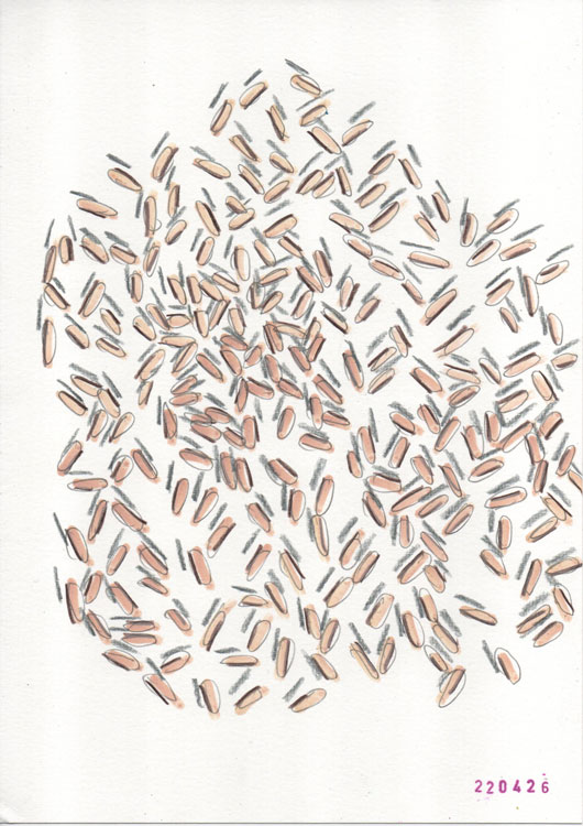 this drawing started out as random lines and ended up as random lines