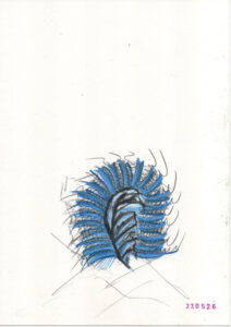 sketch for something blue