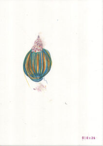 some kind of a hot air balloon