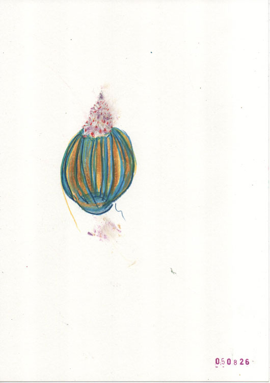 some kind of a hot air balloon