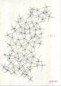 difference and repetition in drawing