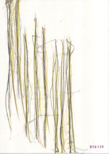 lines on a piece of paper