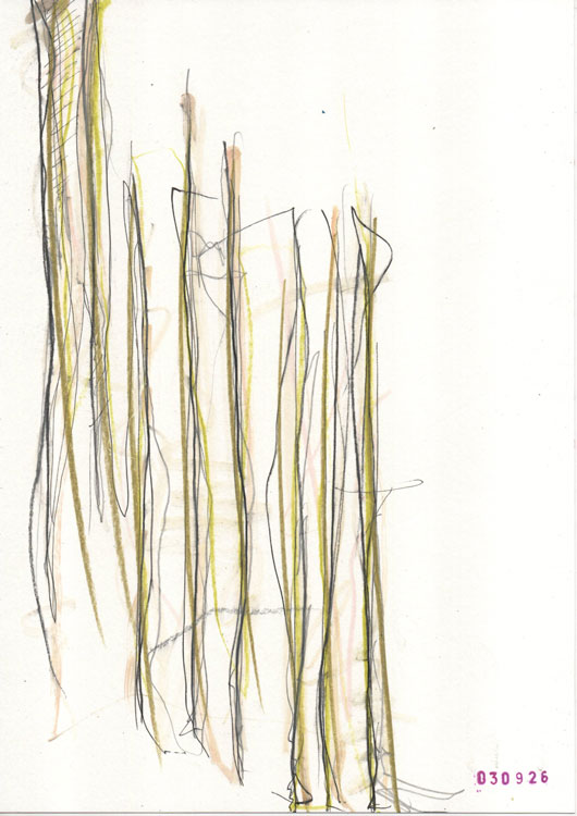 Daily Drawing 030926 - Bart Geerts
